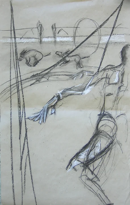 Les Ânes