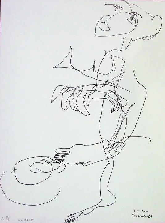 Le chat